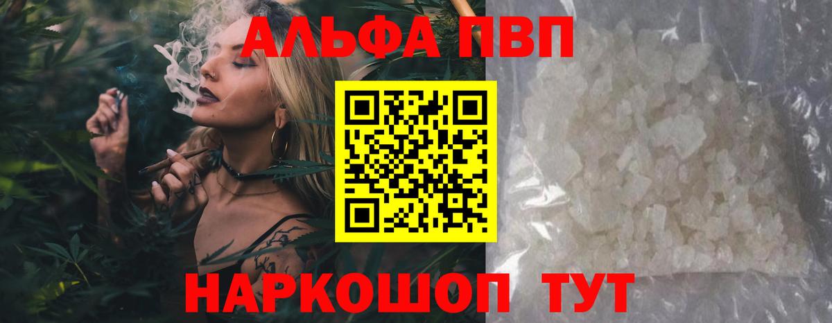 Нягань  Альфа ПВП СК  А ПВП крисы CK  Вход с VPN 