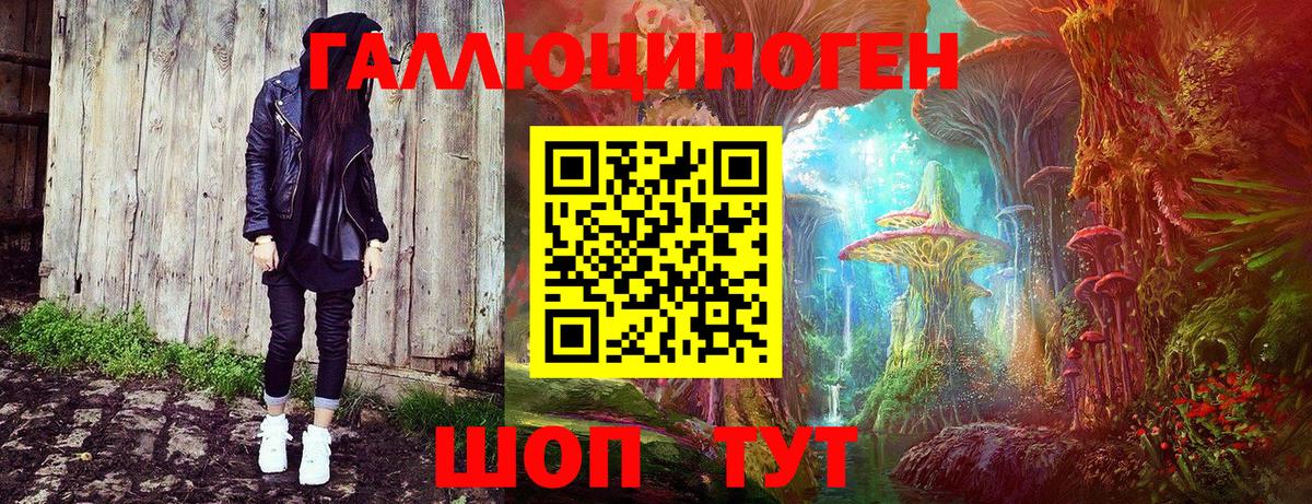 Нягань  Псилоцибиновые грибы Psilocybine cubensis  Вход с VPN 